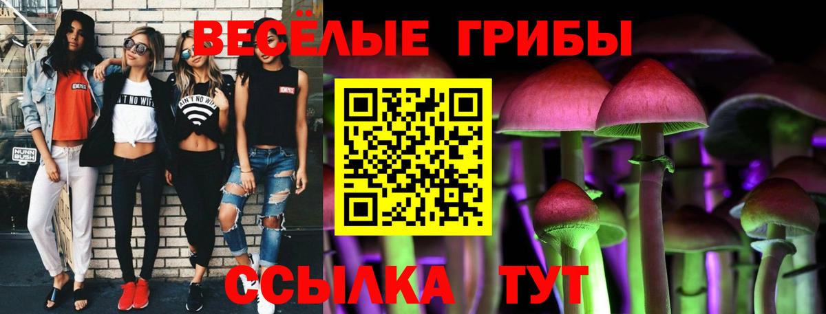 Галлюциногенные грибы ЛСД  Вход с VPN  Армавир  Псилоцибиновые грибы GOLDEN TEACHER 