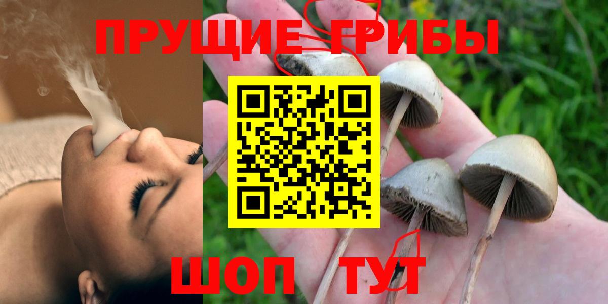Галлюциногенные грибы мицелий Армавир